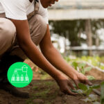 Urban Agriculture