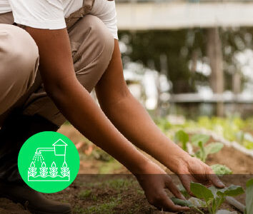 course thumbnail